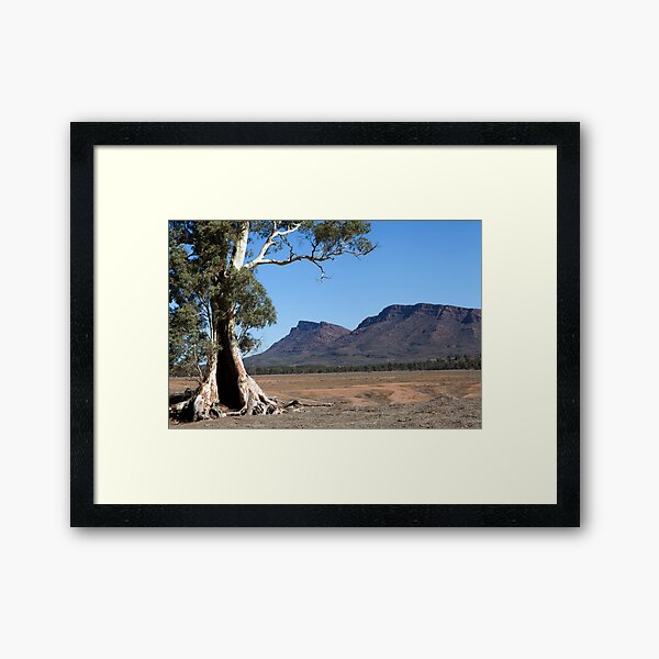 Item preview, Cazneaux's Tree designed and sold by Geoff Smith.