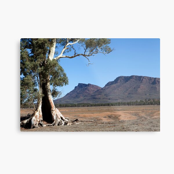 Item preview, Cazneaux's Tree designed and sold by Geoff Smith.
