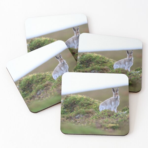 Item preview, Mountain hare designed and sold by chanonry.