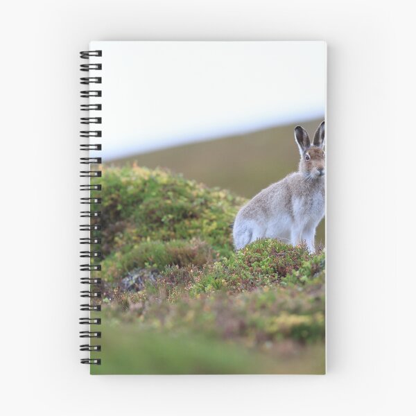 Item preview, Mountain hare designed and sold by chanonry.