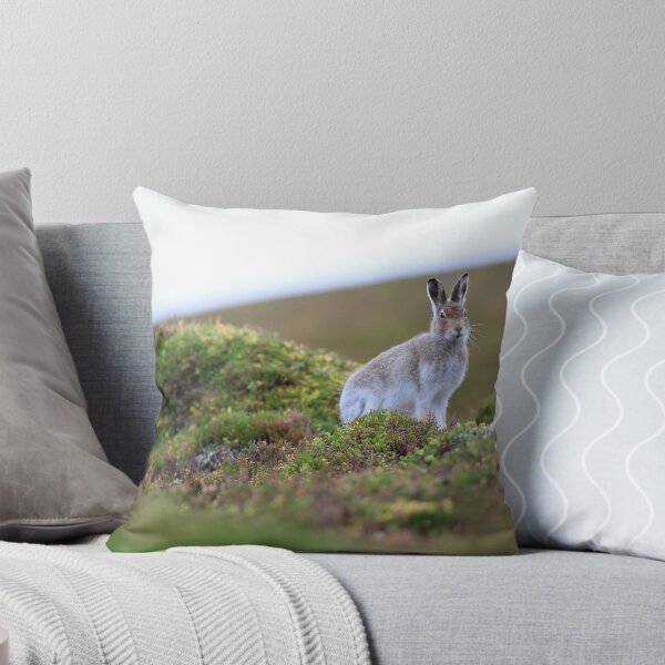 Item preview, Mountain hare designed and sold by chanonry.