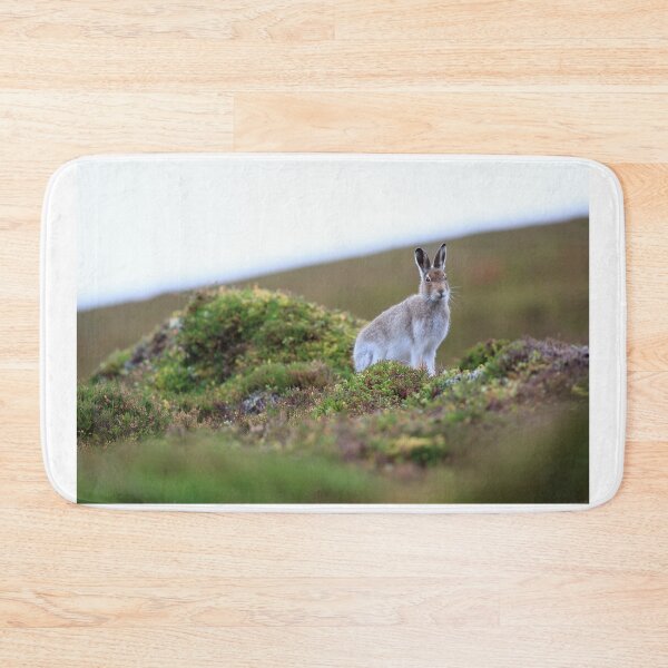 Item preview, Mountain hare designed and sold by chanonry.