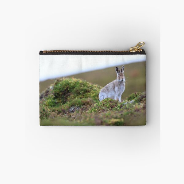 Item preview, Mountain hare designed and sold by chanonry.