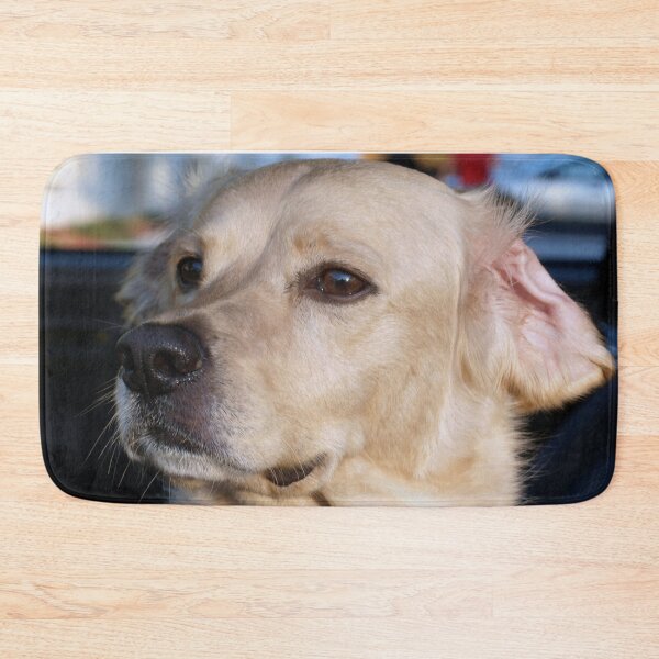 Item preview, Car sentry designed and sold by B. Randi Bailey.