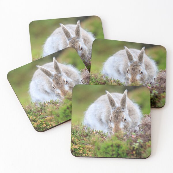 Item preview, Copy of Mountain hare designed and sold by chanonry.