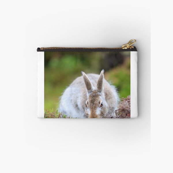 Item preview, Copy of Mountain hare designed and sold by chanonry.