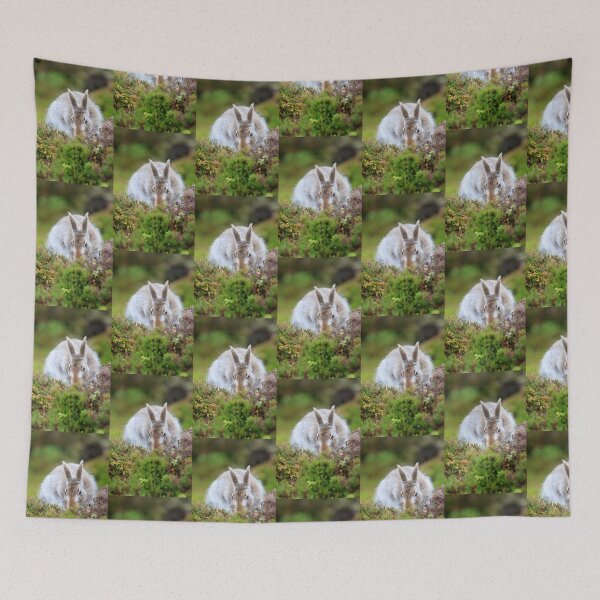Item preview, Copy of Mountain hare designed and sold by chanonry.