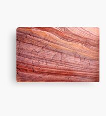 crackling skin in the wind Metal Print
