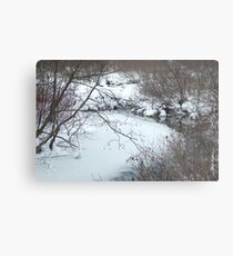 Winter Freeze Metal Print