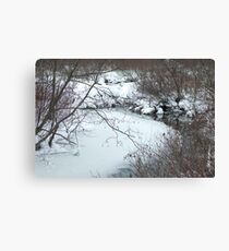 Winter Freeze Canvas Print