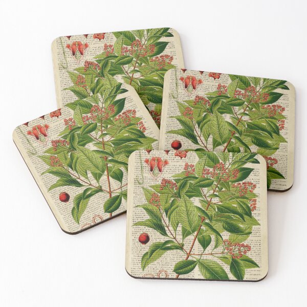 Item preview, Botanical print, on old book page designed and sold by Art by Lilia.