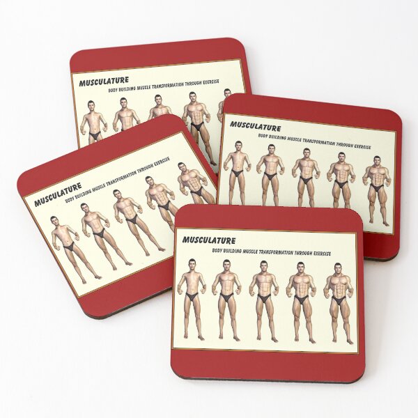 Item preview, MUSCULATURE : Body Building Transformation Print designed and sold by posterbobs.