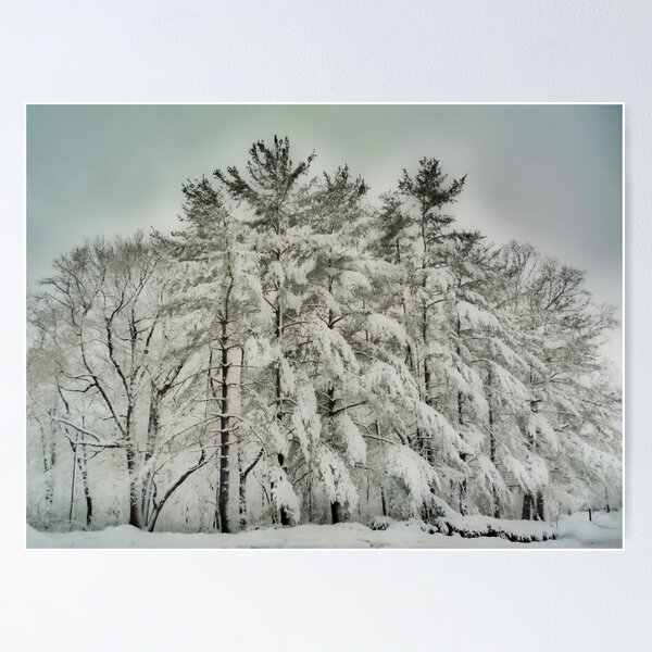 Item preview, Snow Trees designed and sold by SgtSciFI.