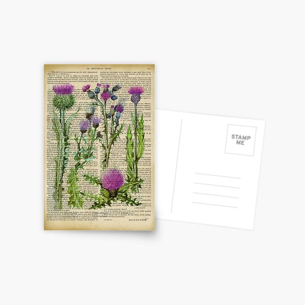 Item preview, Botanical print, on old book page designed and sold by Art by Lilia.