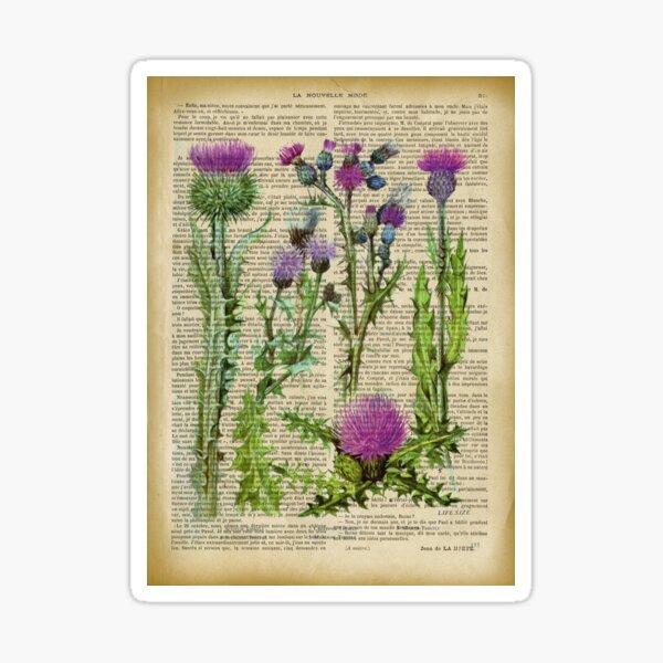 Item preview, Botanical print, on old book page designed and sold by Art by Lilia.