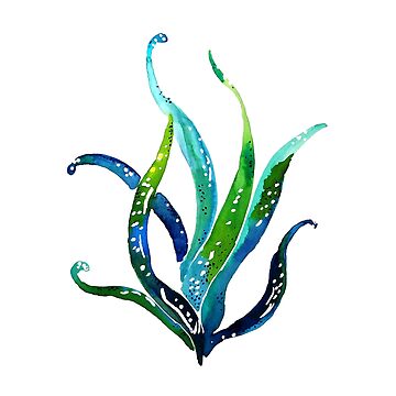 Artwork thumbnail, Coastal Seaweed by CreatedByCarol