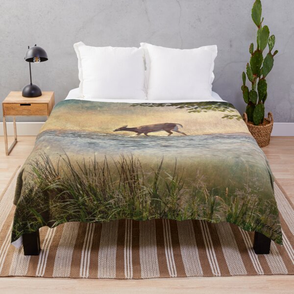 Item preview, White Tail Deer Touting the Water - Parc National Mont Tremblant designed and sold by Yannik Hay.