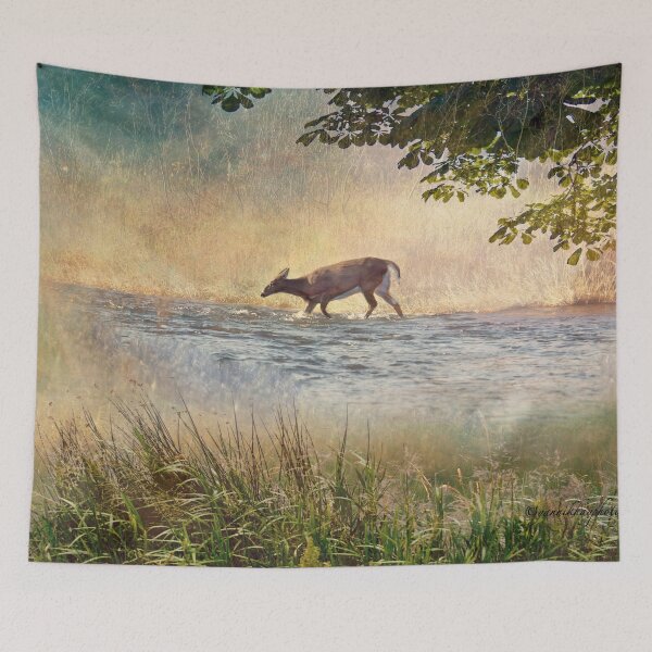 Item preview, White Tail Deer Touting the Water - Parc National Mont Tremblant designed and sold by Yannik Hay.