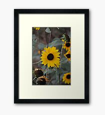 Cloudless Framed Print