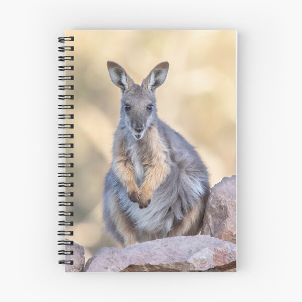 Item preview, Yellow Footed Rock Wallaby, Arkaroola South Australia designed and sold by Andrew Goodall.