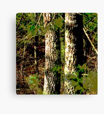 Companionship Canvas Print