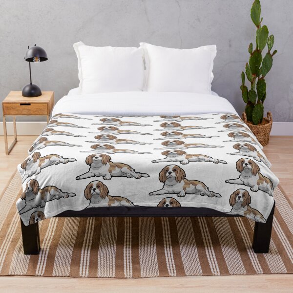 cavalier roi Charles Spaniel Plaid