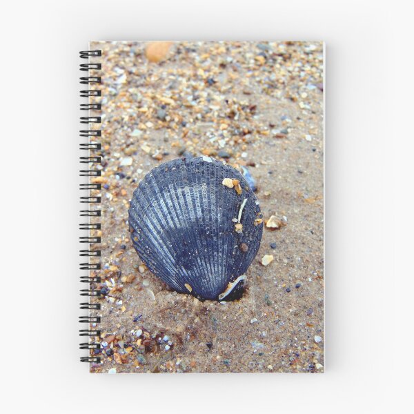 Item preview, shell designed and sold by KathleenDawson.