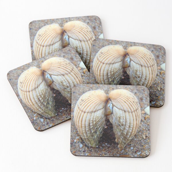 Item preview, shell designed and sold by KathleenDawson.