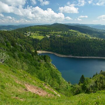 Aperçu de l'œuvre Lac Blanc au printemps de Jean Isenmann