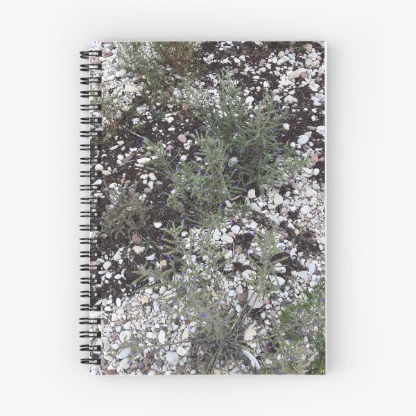 Item preview, Nature's Perfection designed and sold by Piia  Põdersalu.