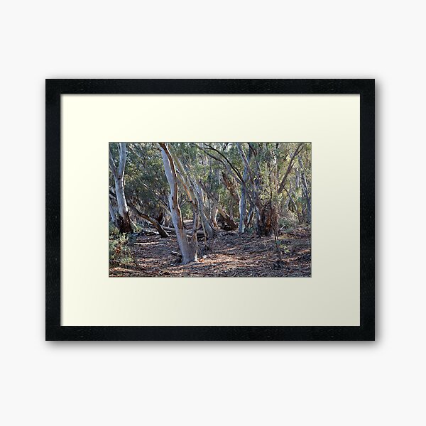 Item preview, Wilpena River Gums designed and sold by Geoff Smith.