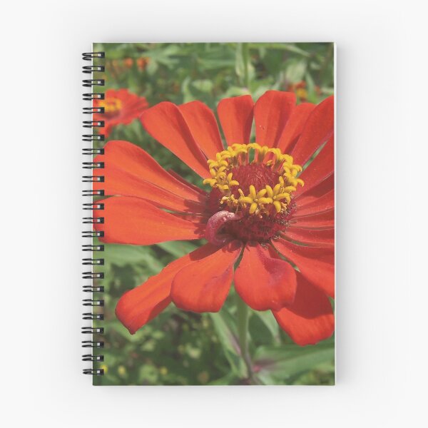 Item preview, Zingy Zinnia designed and sold by Monnie Ryan.