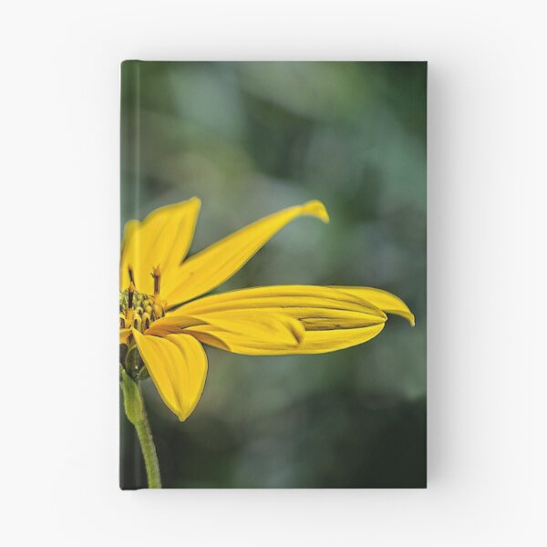 Item preview, Jerusalem artichoke designed and sold by PhotosByHealy.