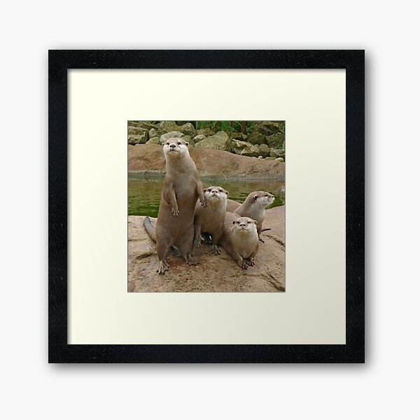 The power of otter Framed Art Print