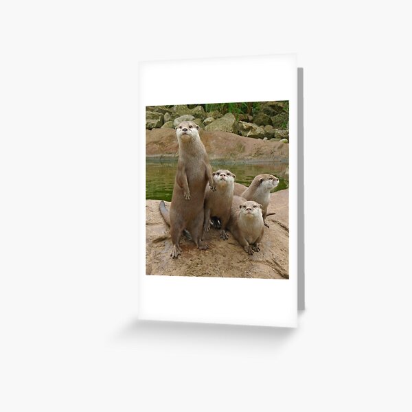The power of otter Greeting Card
