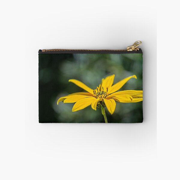 Item preview, Jerusalem artichoke designed and sold by PhotosByHealy.