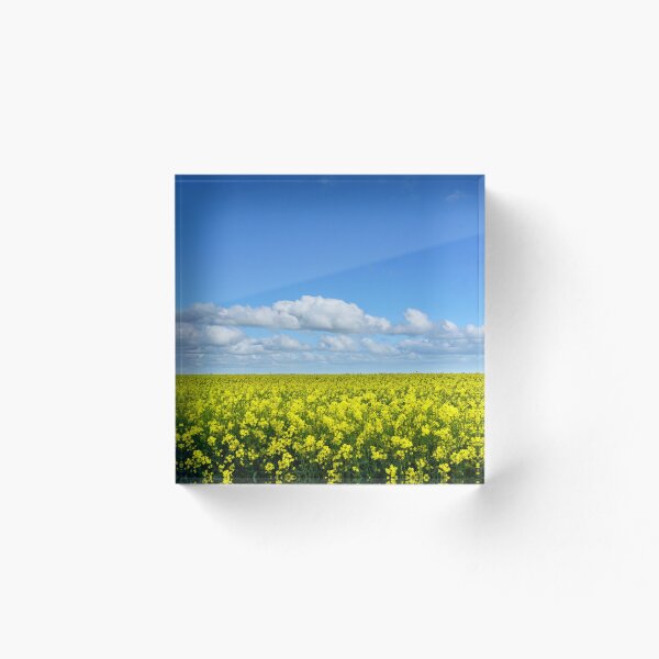 Item preview, Golden Paddocks designed and sold by AlChris.