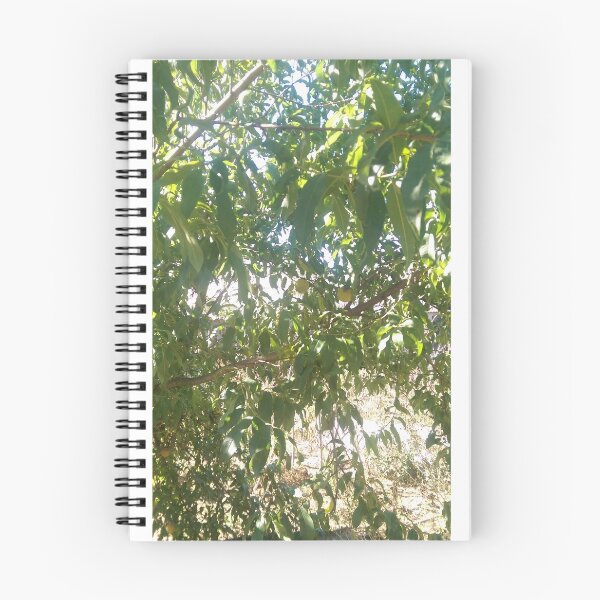 Item preview, Peach tree, fruit designed and sold by starv10.