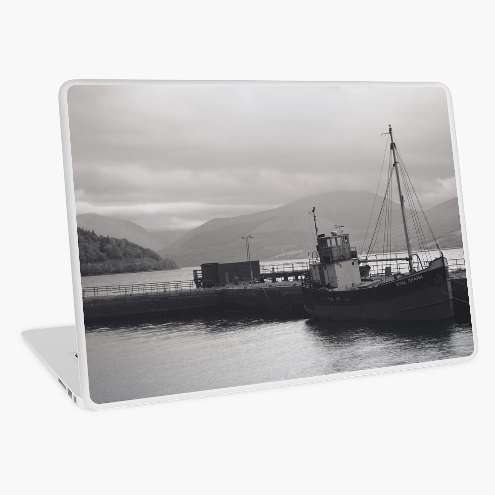Item preview, Laptop Skin designed and sold by ShinyPhoto.
