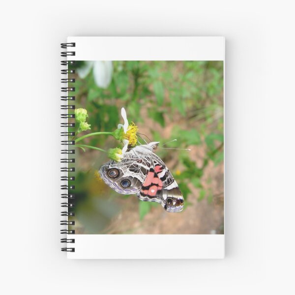 AMERICAN LADY ON SPANISH NEEDLES Spiral Notebook