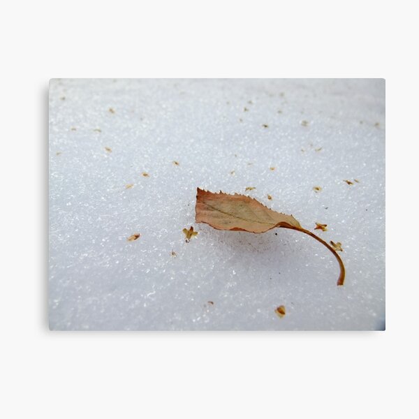 Lost but not forgotten Canvas Print