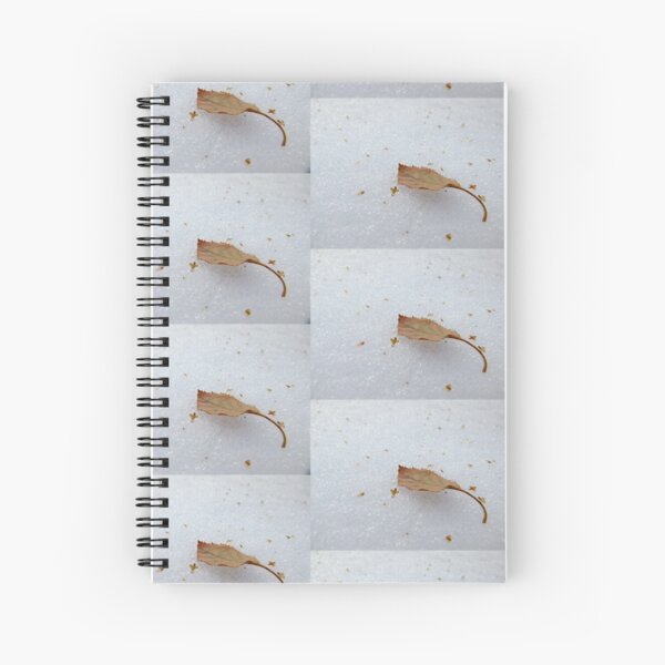 Lost but not forgotten Spiral Notebook