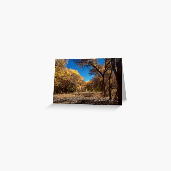 Bosque Gold 1 Greeting Card