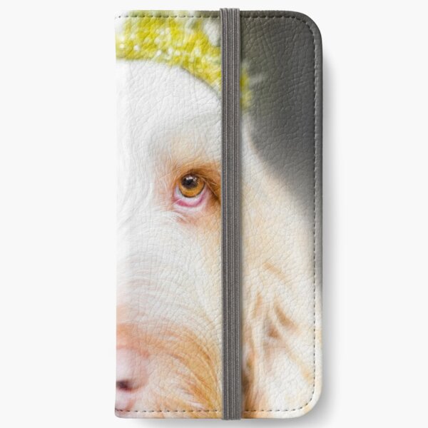 Spinone Spirit iPhone Wallet