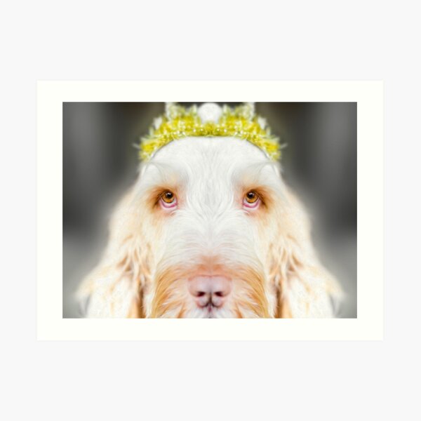 Spinone Spirit Art Print
