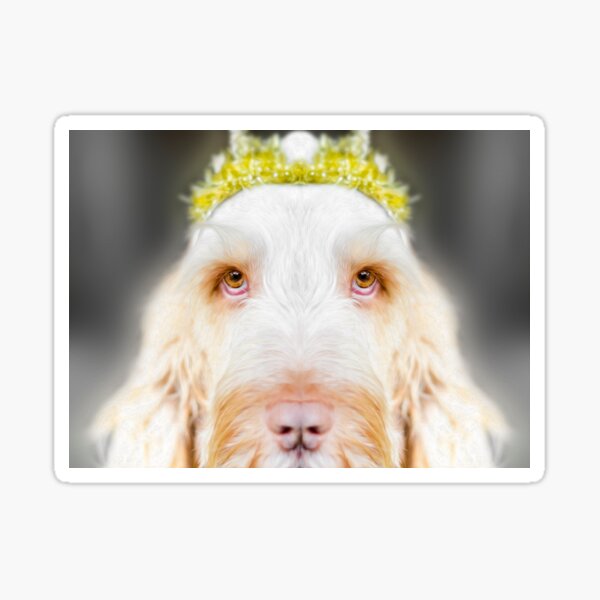 Spinone Spirit Sticker