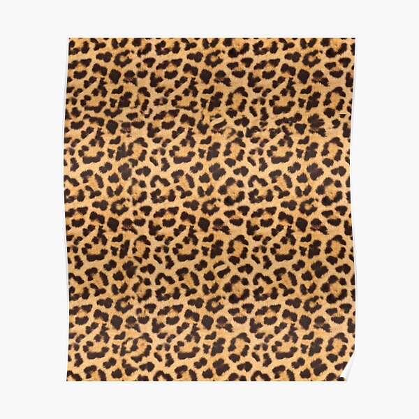 Leopard Print Pattern Poster