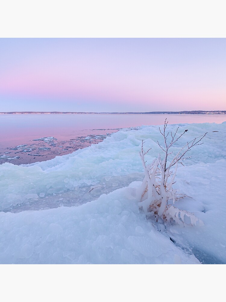 Lake shore scenery at dusk winter in Finland by Juhku