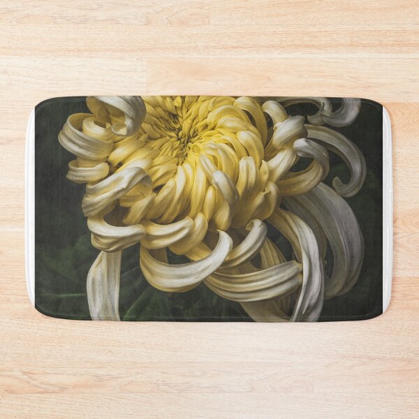 Item preview, kiku designed and sold by alan shapiro.