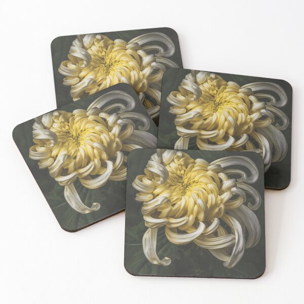 Item preview, kiku designed and sold by alan shapiro.